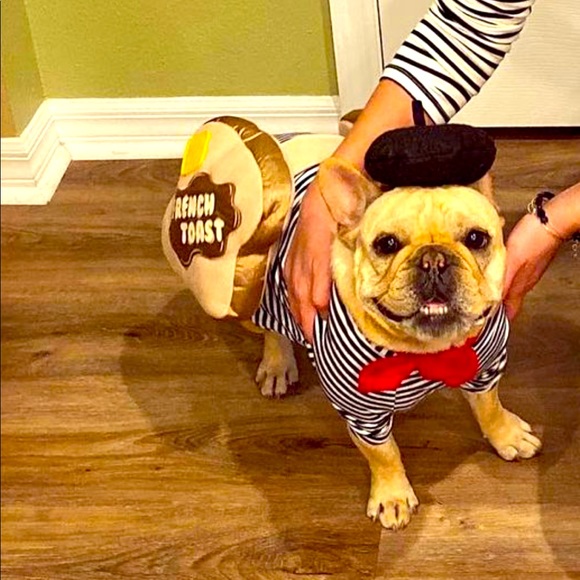 walmart hoover windtunnel